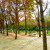 How To Do Paris Your Way